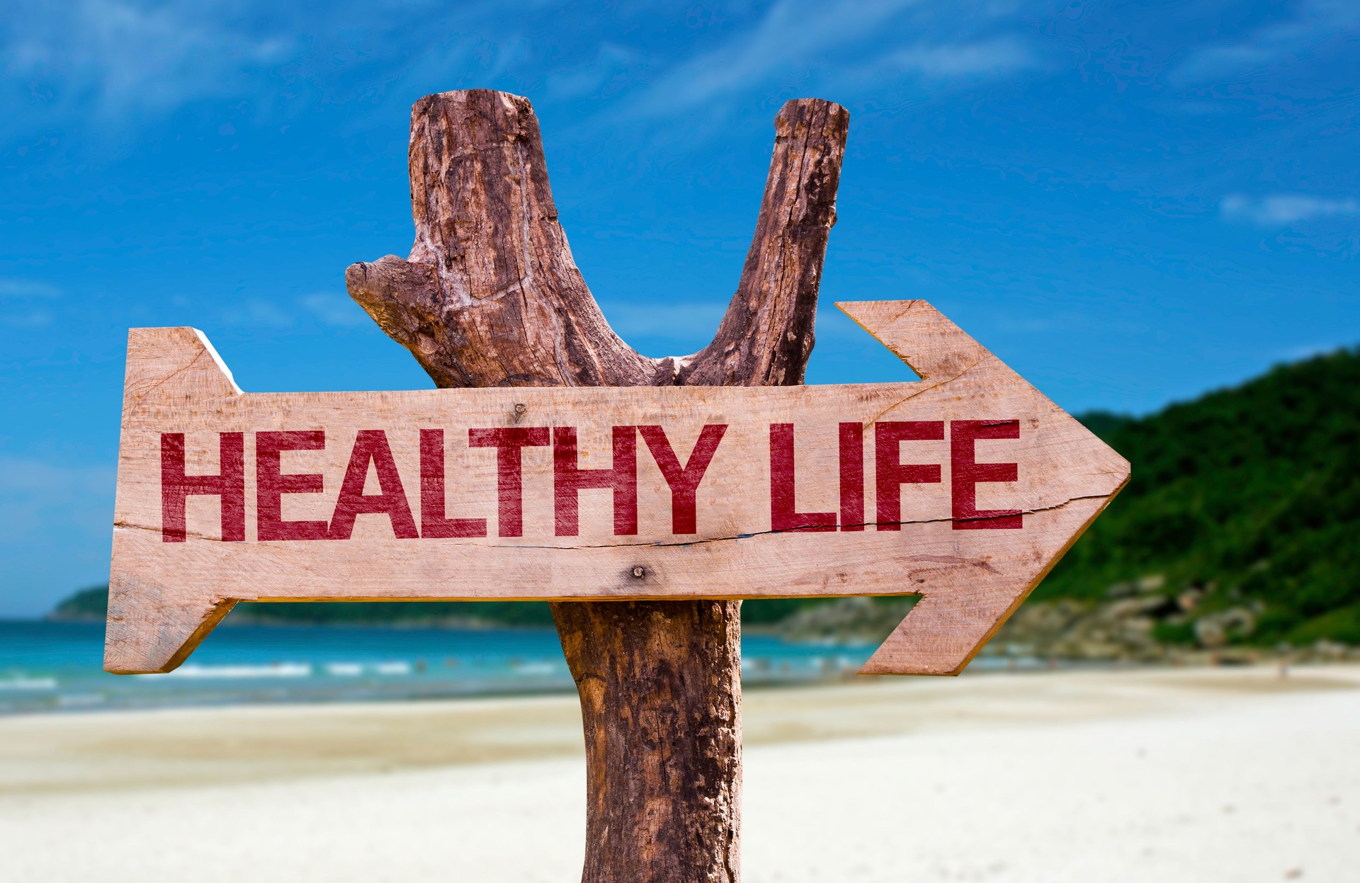 Wooden sign with the text: Healthy Life